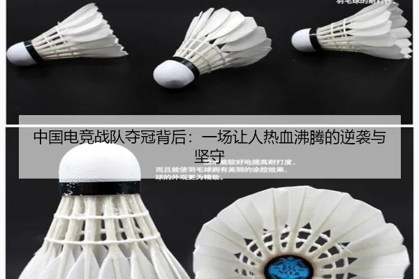 中国电竞战队夺冠背后：一场让人热血沸腾的逆袭与坚守